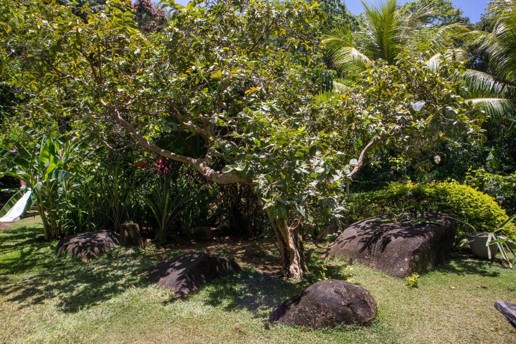 Domaine Desaubin Luxury Villas Takamaka Esterno foto